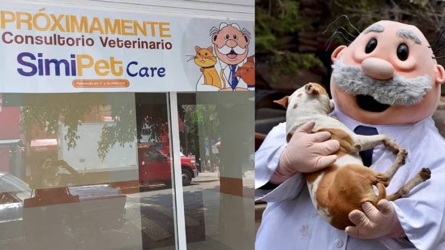 Semi Pet Care abrirá su primera clínica veterinaria en la colonia Escandón, CDMX
