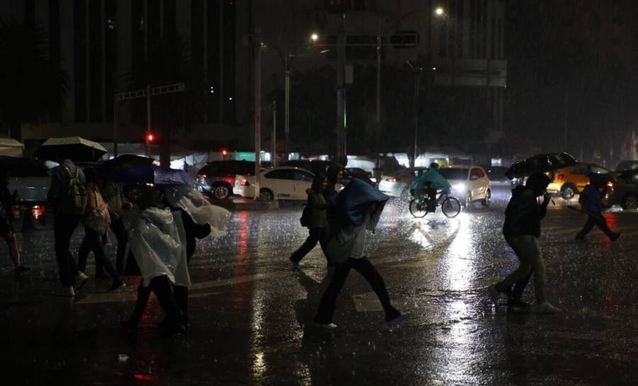 Fuertes vientos y lluvias causan caída de árboles, cierres viales y afectaciones al Metro en CDMX