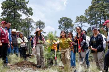 Clara Brugada lanza reforestación masiva en Tlalpan con meta de 40 millones de árboles