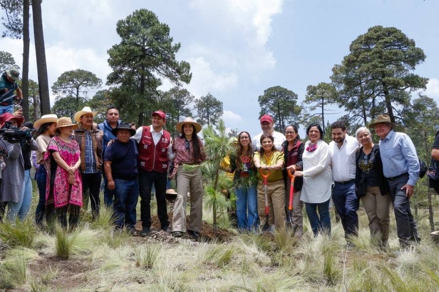 Anuncia GobCDMX Plan Ambiental con 10 ejes estratégicos