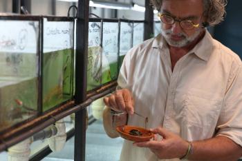 Francia: Nacimiento inusual en cautiverio de dos tortugas en peligro de extinción