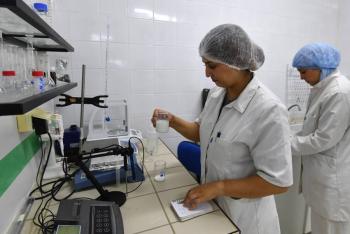 La leche de camello, el potencial «oro blanco» de una región árida y pobre de Túnez