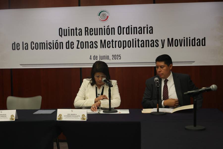 Modifican la Ley General de Movilidad Vial en beneficio de personas con discapacidad