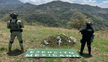 Acciones del Gabinete de Seguridad en México del 6 al 8 de junio de 2025