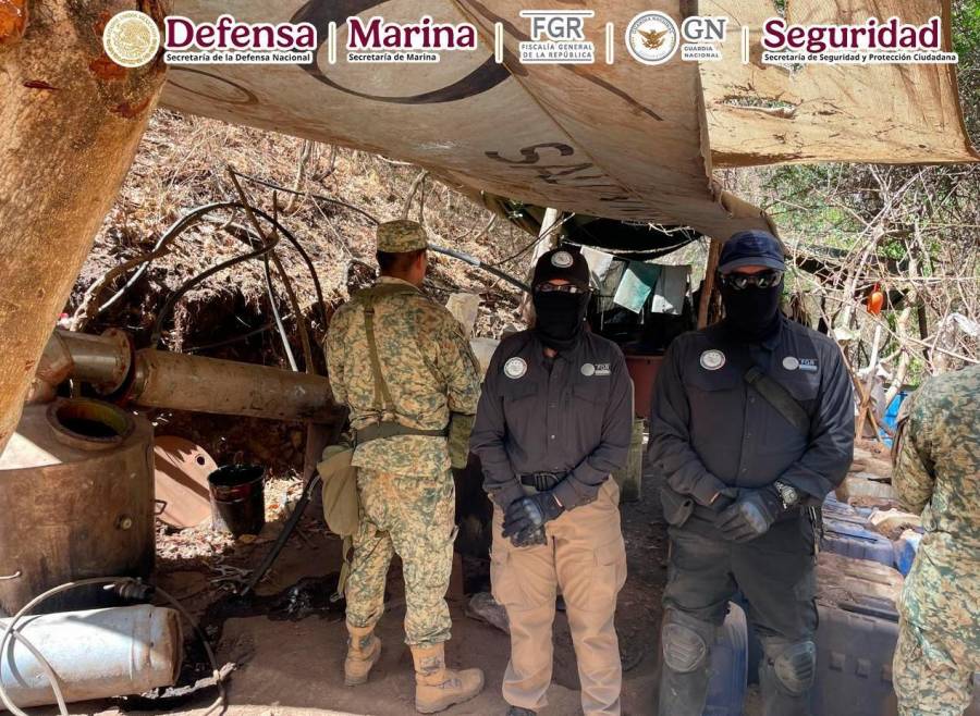 Resultados de la “Operación Frontera Norte” al 10 de junio de 2025