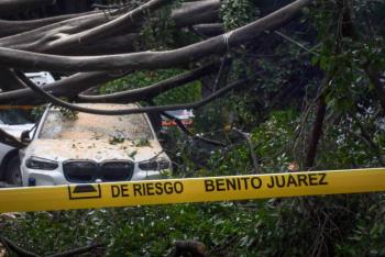 Fuertes lluvias causaron inundaciones, caída de árboles y caos vial en 13 alcaldías de CDMX
