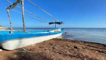 Preocupación en Yucatán por el arribo anticipado de grandes cantidades de sargazo a sus playas