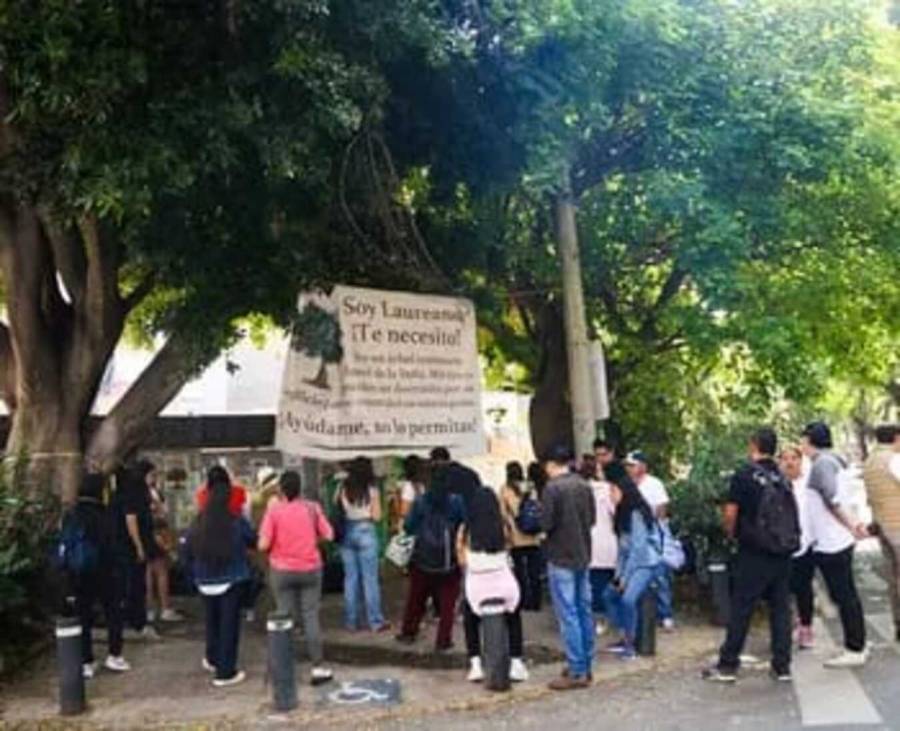 Ciudadanos celebran victoria legal :Árbol centenario 