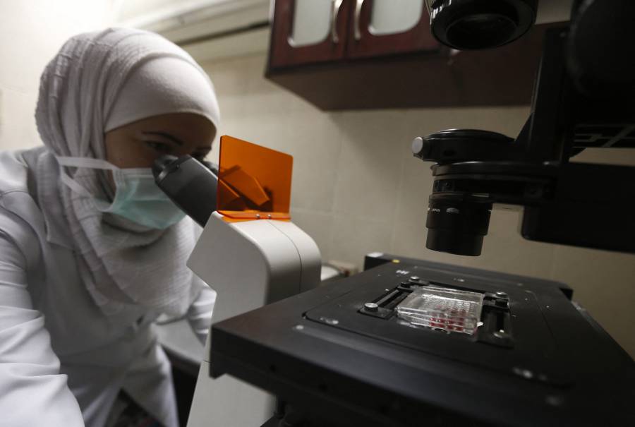 Células madre en microgravedad podrían transformar la medicina regenerativa