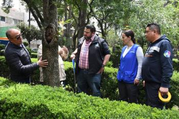 Alcaldía Benito Juárez inicia verificación de árboles en riesgo en parques públicos