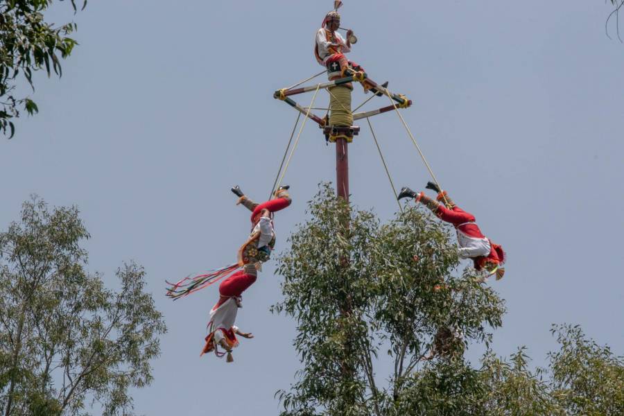 Colapsa estructura durante ritual de Voladores de Papantla en Veracruz