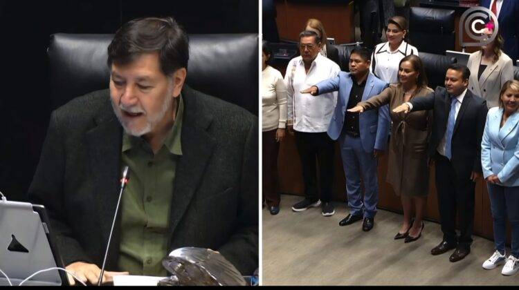 Erasmo Catarino González: de ganador de La Academia a senador 