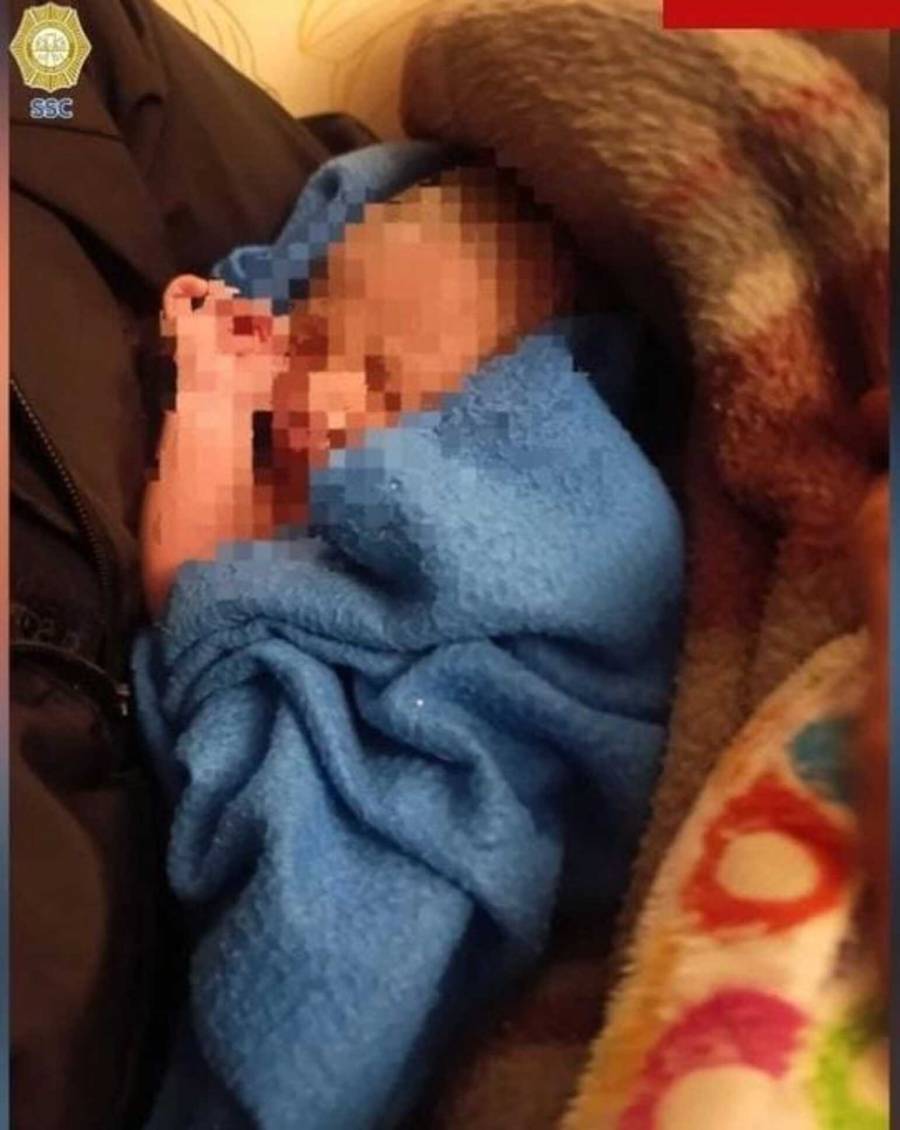 Bebé recién nacida es hallada abandonada bajo arbustos en Lomas de San Ángel Inn, CDMX 