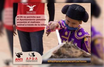 Colectivos antitauramaquia reprochan a ministra Esquivel violentar derechos de las infancias