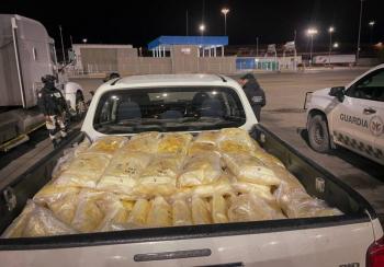Operación Frontera Norte: Casi a 5 mil detenidos y más de 42 toneladas de droga aseguradas en México