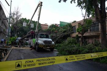 Lluvias intensas provocan múltiples afectaciones en la Ciudad de México; destacan caída de árboles y encharcamientos