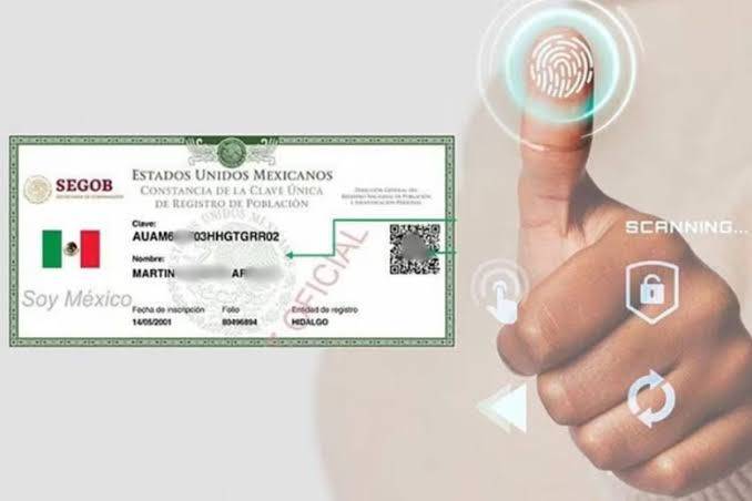 CURP Biométrica sustituirá a la credencial del INE como identificación oficial en trámites y bancos  