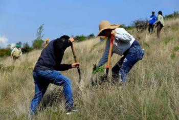 Dan inicio a jornada de reforestación en el Cerro de la Estrella de Iztapalapa
