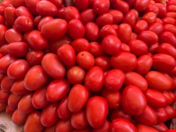 Productores mexicanos de jitomate solicitan prórroga de 60 días a Estados Unidos para evitar imposición de cuota compensatoria