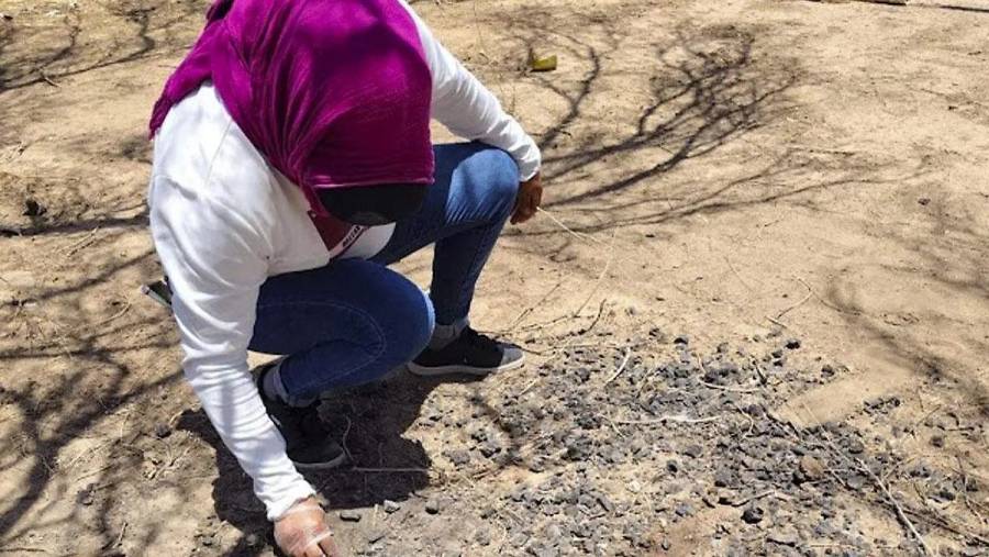 Madres Buscadoras de Sonora localizan restos y presunto campamento del crimen organizado en zona rural de Hermosillo