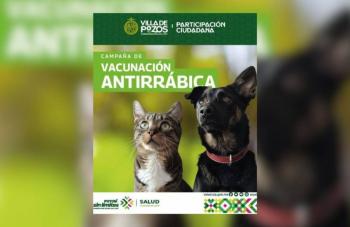Villa de Pozos lanza campaña gratuita de vacunación antirrábica para perros y gatos