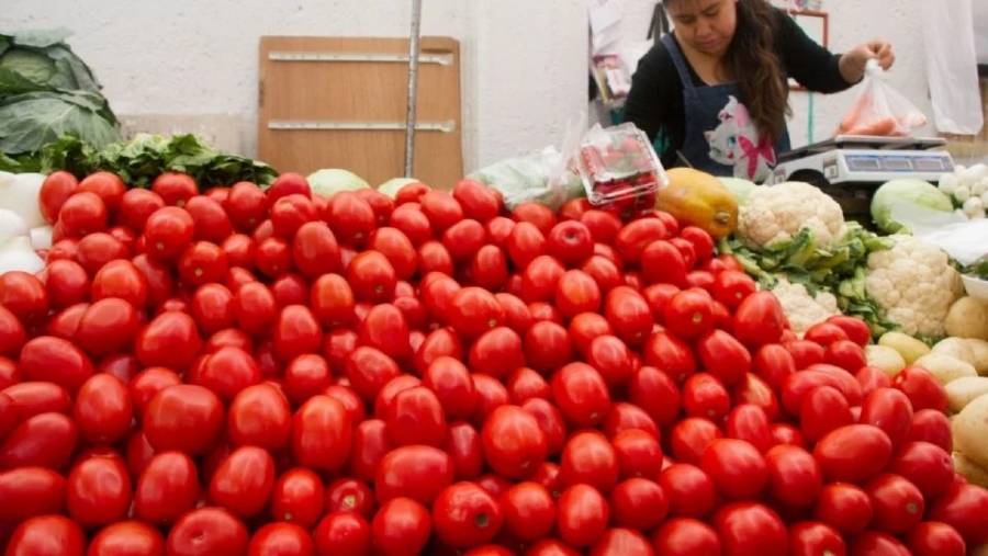 Estados Unidos impone arancel de 20.91% al jitomate mexicano: advierten alza de precios y afectación laboral  