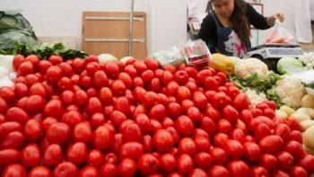 Estados Unidos impone arancel de 20.91% al jitomate mexicano: advierten alza de precios y afectación laboral
