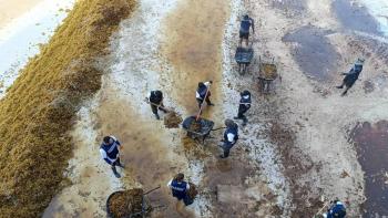 Isla Mujeres moviliza 140 toneladas de sargazo en cuatro horas