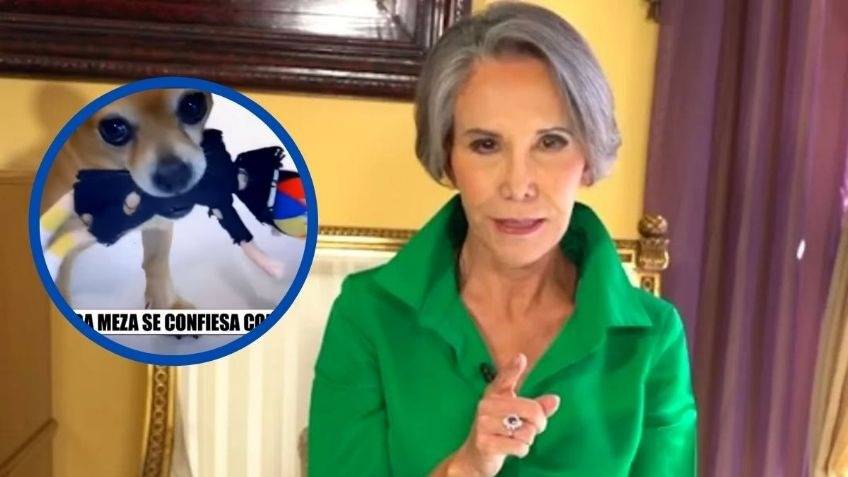 Resurge pol&eacute;mico video de Florinda Meza mostrando a su perro con peluche de Quico