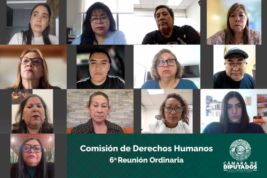 Aprueba Comisión dictamen para garantizar acceso con animales de apoyo socioemocional a establecimientos
