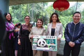 Devela Clara Brugada billete de la Loter&iacute;a Nacional por los 35 a&ntilde;os de la panda Xin Xin en Chapultepec