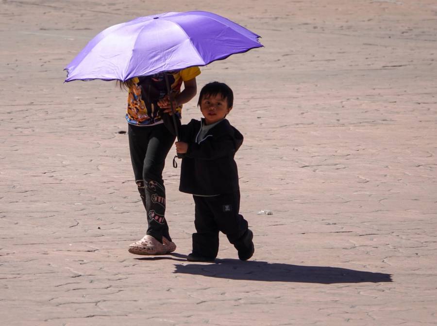 Ola de calor en Sonora deja 12 muertos y más de 150 afectados; Hermosillo concentra la mayoría de casos