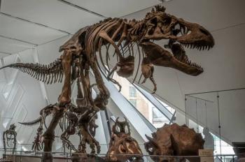 CDMX abrir&aacute; en 2026 la Utop&iacute;a m&aacute;s grande con dinosaurios fluorescentes y aventura espacial en GAM