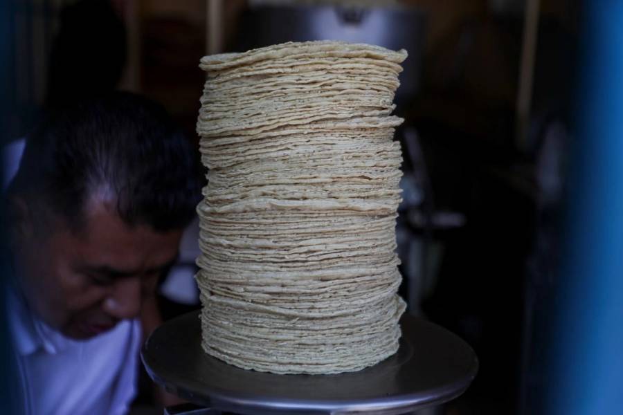 Gobierno lanza convocatoria para reducir gradualmente el precio de la tortilla en M&eacute;xico
