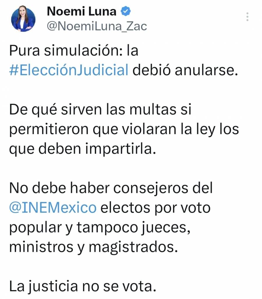 En vez de multas, INE tuvo que anular elección judicial; pura simulación: PAN
