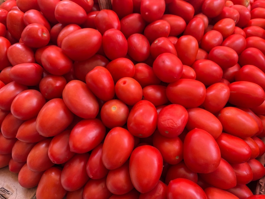 Arancel de EEUU al tomate representa un golpe letal para San Quintín, advierte Centro de Estudios Económicos de BC