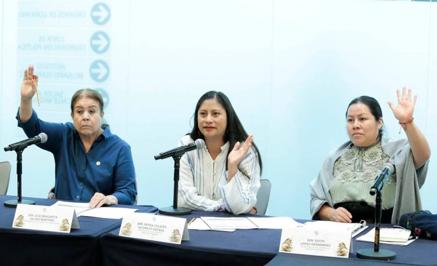 Aprueban acuerdo para evaluar a candidatos para el Consejo Nacional Ciudadano del Sistema Nacional de Búsqueda