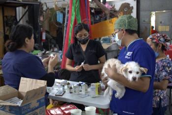 Más de 40 médicos voluntarios atienden a mascotas y callejeritos en jornada gratuita en el Faro de Oriente