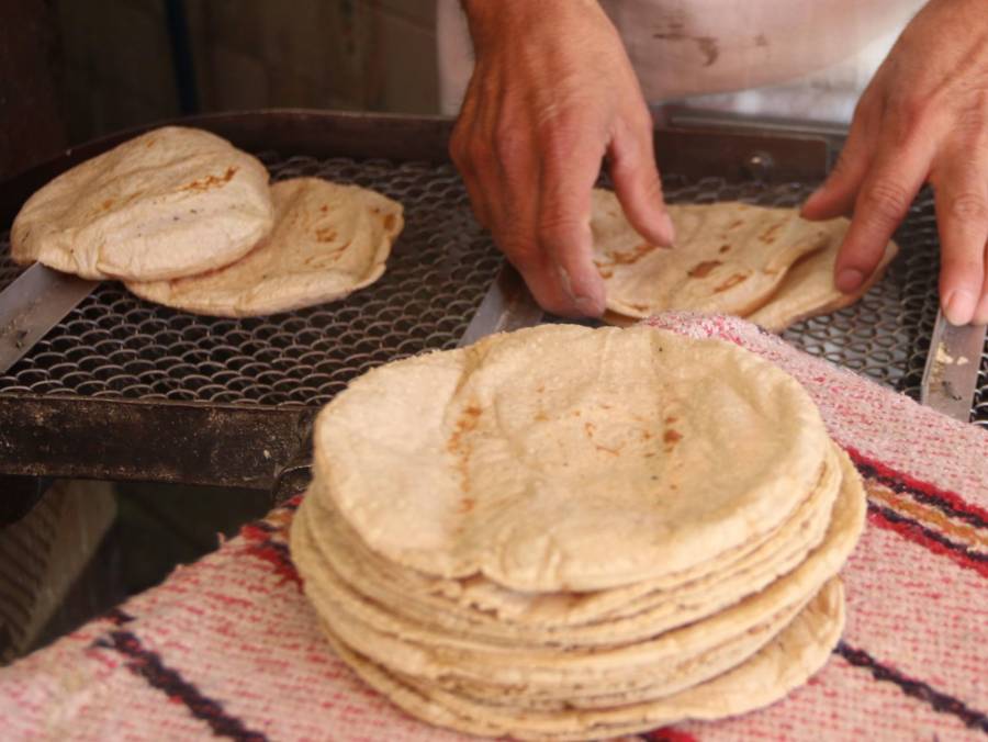 Acuerdo impulsa reducción de 5 % al precio de la tortilla en la Zona Centro de México
