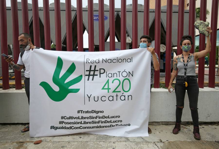 CDMX habilita tres nuevas zonas de tolerancia cannábica tras retiro de 