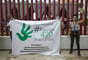 CDMX habilita tres nuevas zonas de tolerancia cannábica tras retiro de 