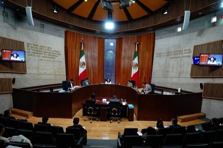 Tribunal Electoral ordena al INE reconocer triunfos anulados de 12 candidatos