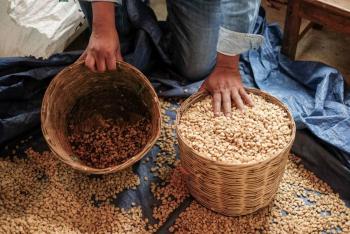 El café no brinda energía: solo oculta el cansancio, revela estudio científico