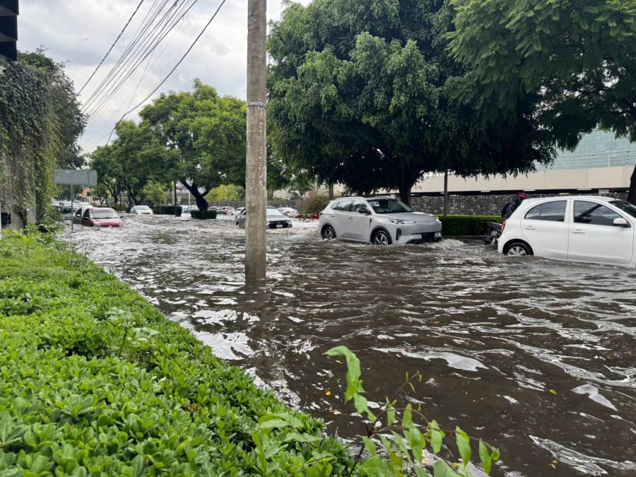 Granizada y fuertes lluvias provocan severas inundaciones en Coyoacán y Tlalpan