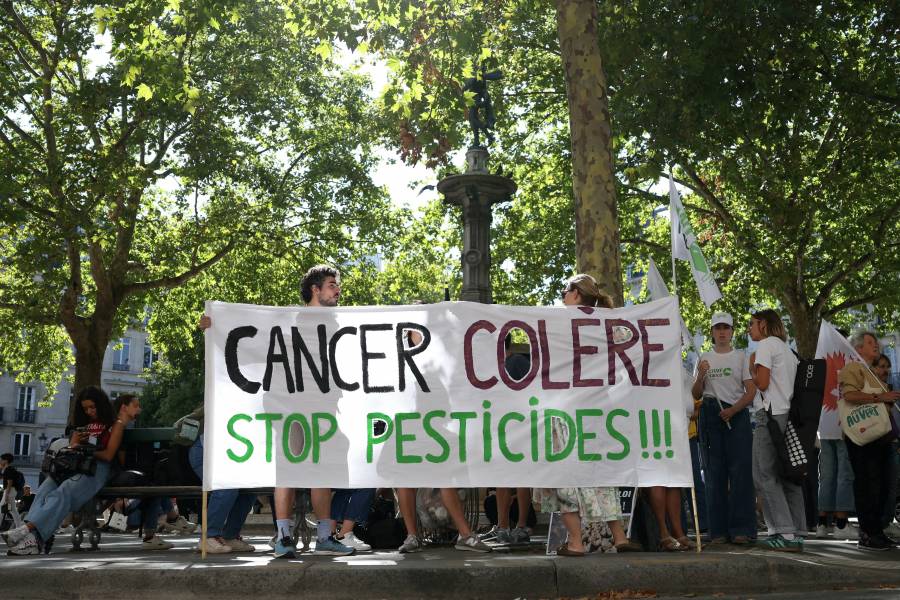 Macron promulga ley cuya disposición de reintroducir un pesticida fue vetada por alto tribunal