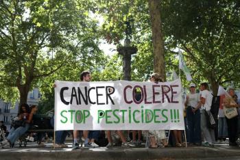 Macron promulga ley cuya disposici&oacute;n de reintroducir un pesticida fue vetada por alto tribunal
