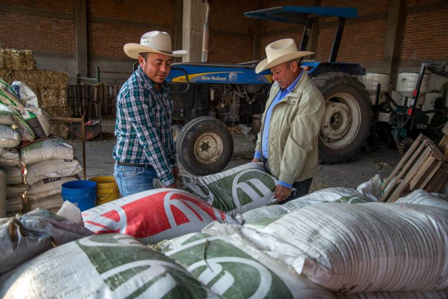 Ampl&iacute;an plazos para registrarse al programa Fertilizantes para el Bienestar