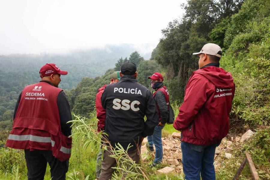Protegen 10 hectáreas de bosque en Los Dinamos durante operativo interinstitucional
