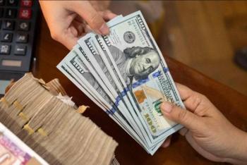 Finabien, la remesadora que da más pesos por el envío de dólares: Profeco