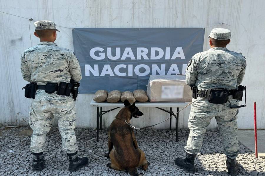 Operación Frontera Norte: Aseguramientos y detenciones al 12 de agosto de 2025
